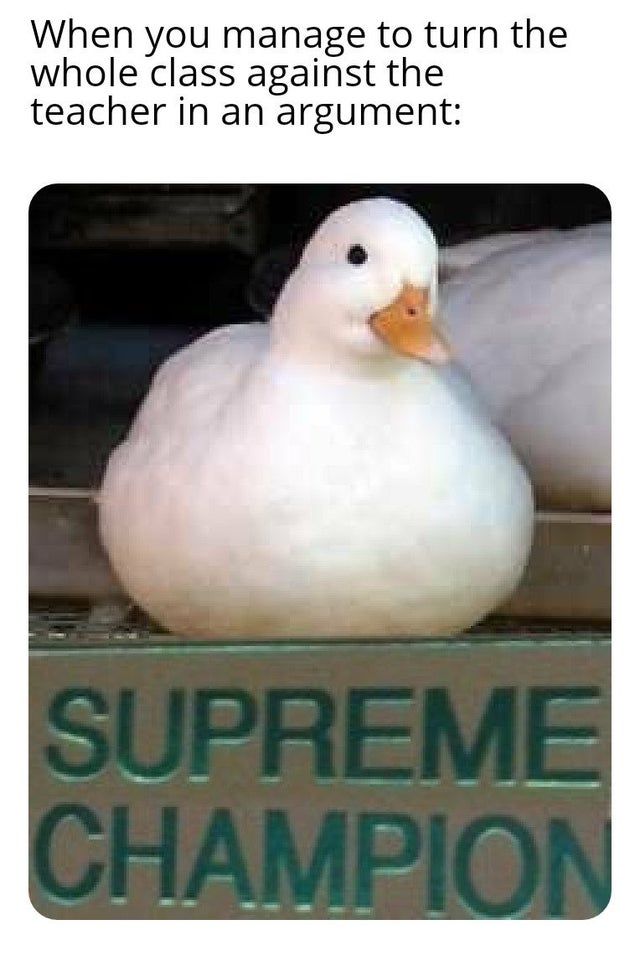 nice duck