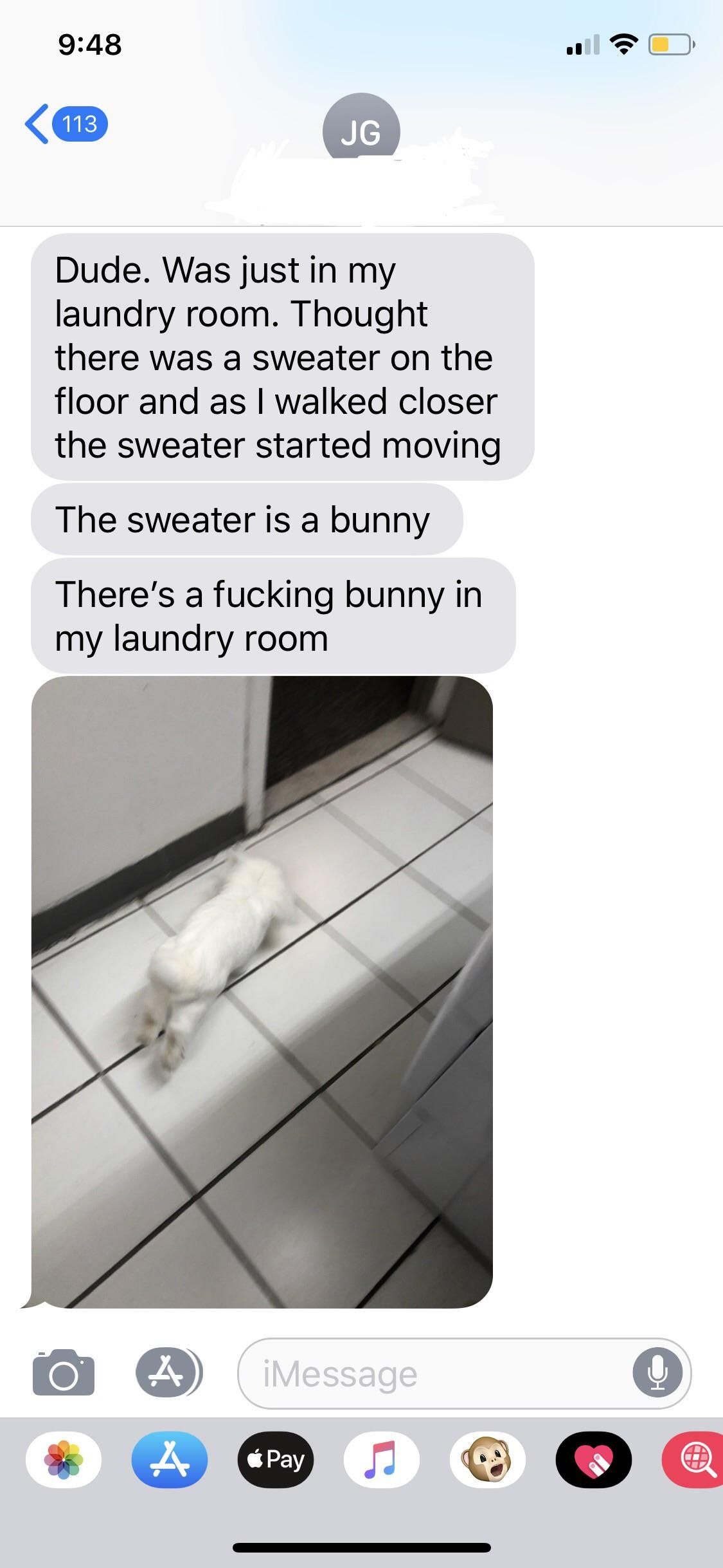 My friend found a bunny in his laundry room and I can’t stop laughing