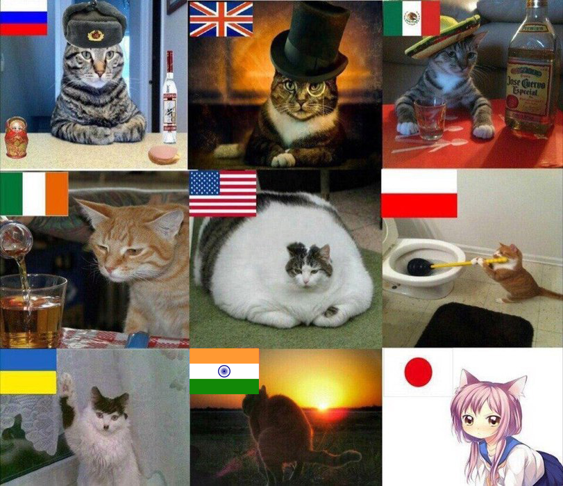countries represented by cats