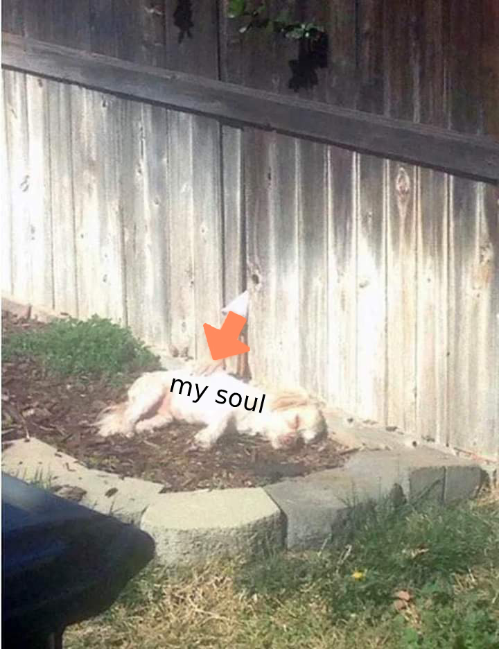 blessings from the faceless