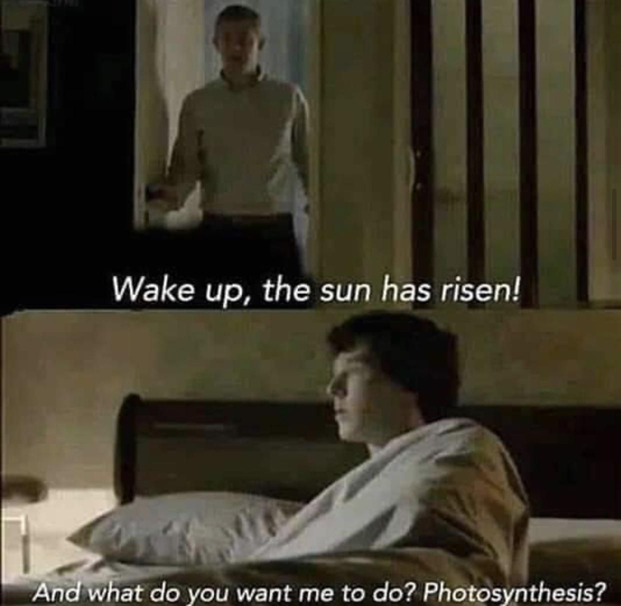 countryside upbringing be like