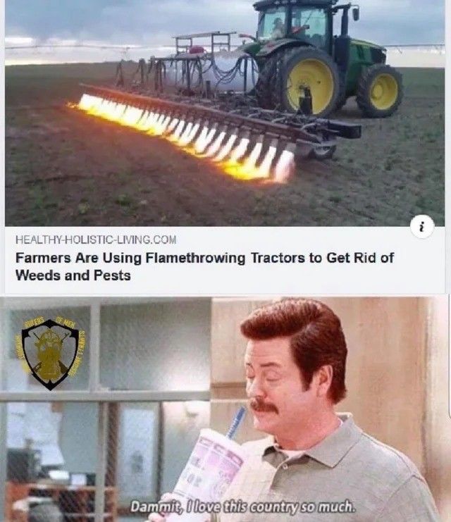 America