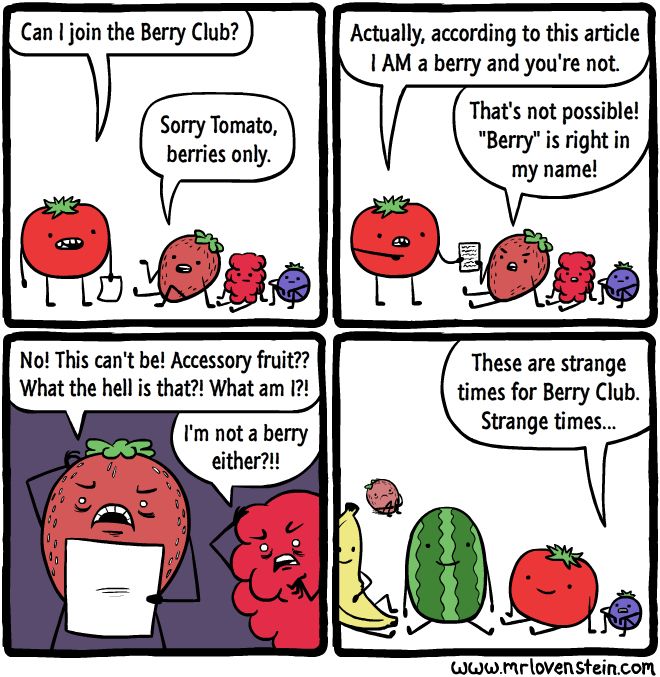 Berry Club