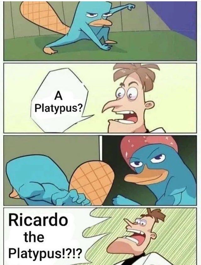 he watched jojo