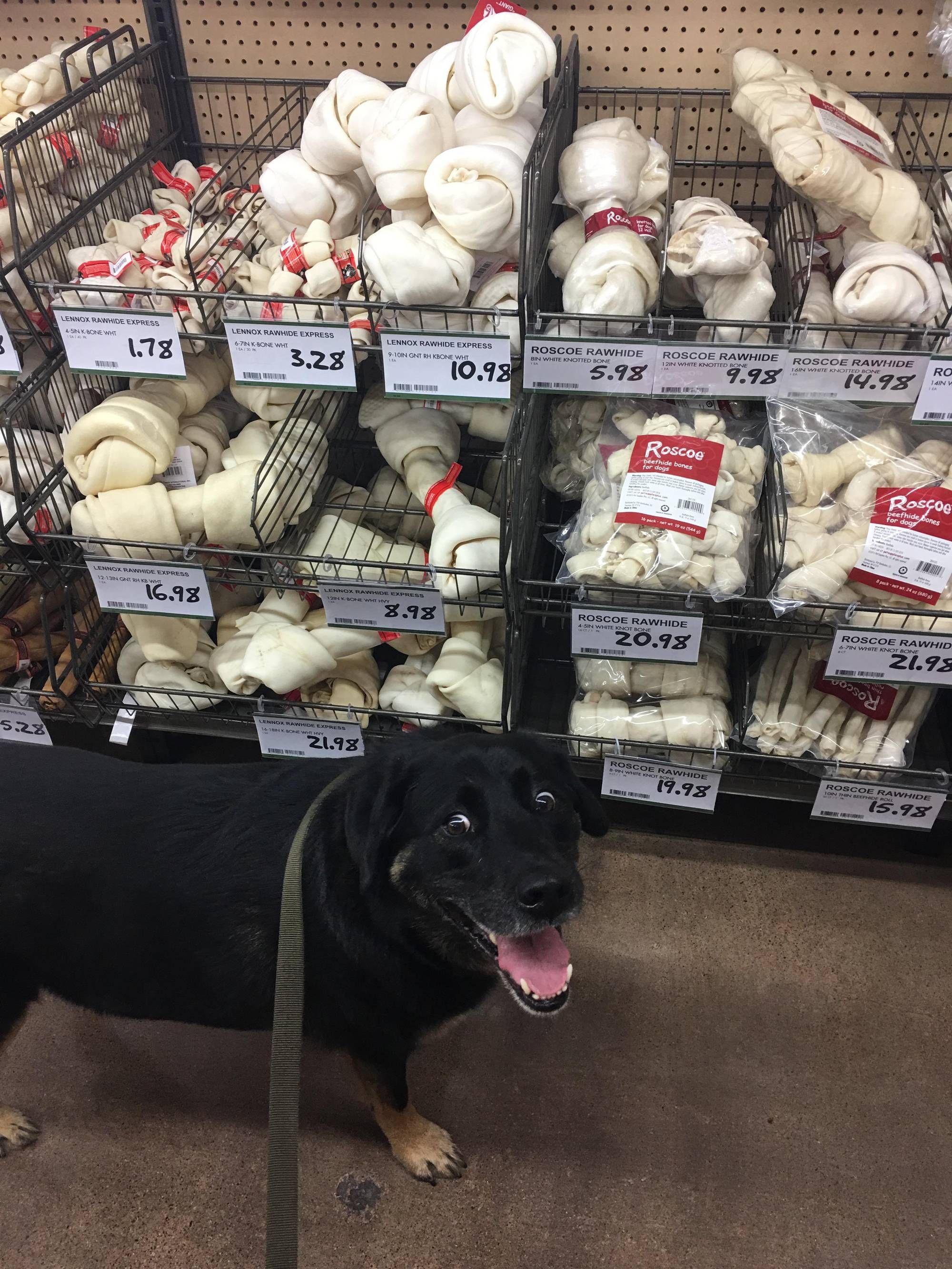 “Can we buy them all???”