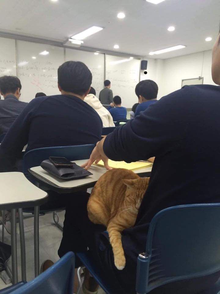 Wake me up after the class ends