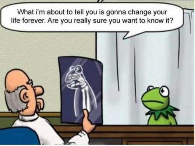 Poor Kermit