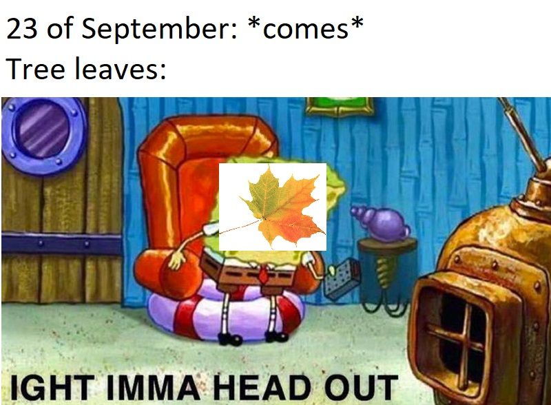 oc :)