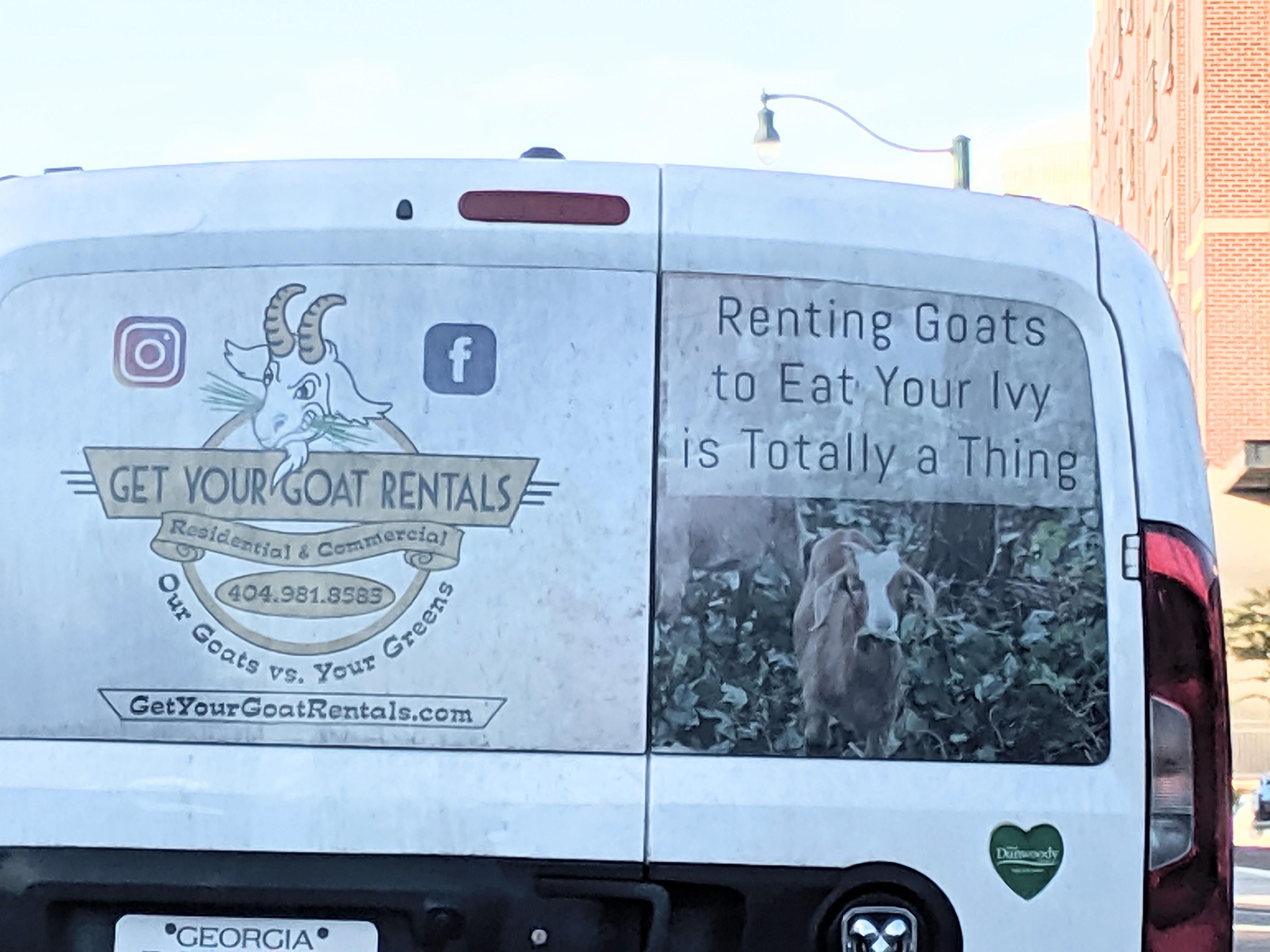 "Renting goats to eat your Ivy is totally a thing"