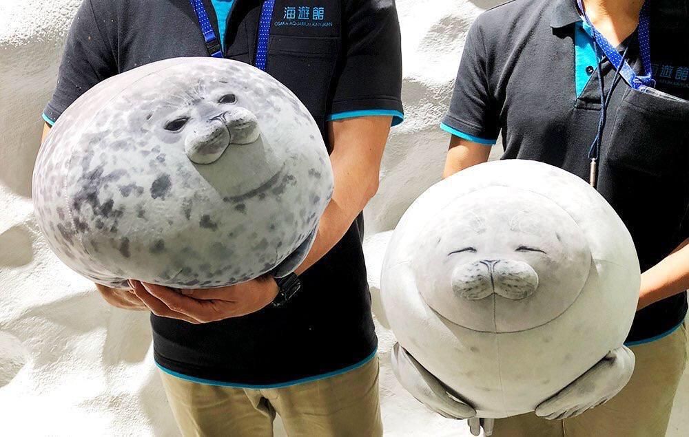 Stuffed animal Seals are a sight to behold