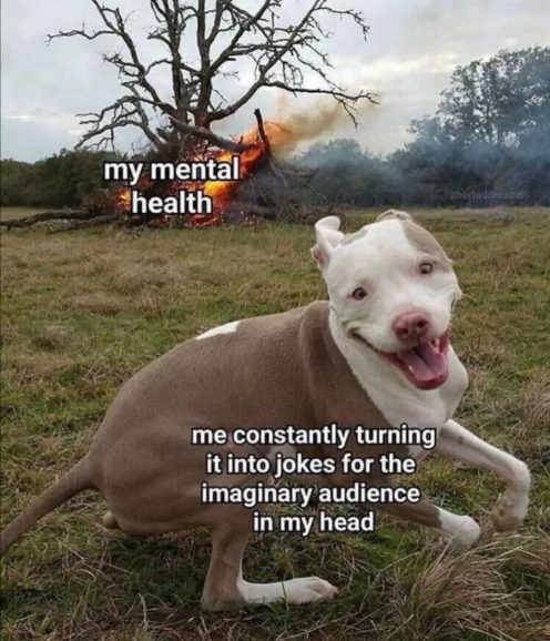 Doggo good