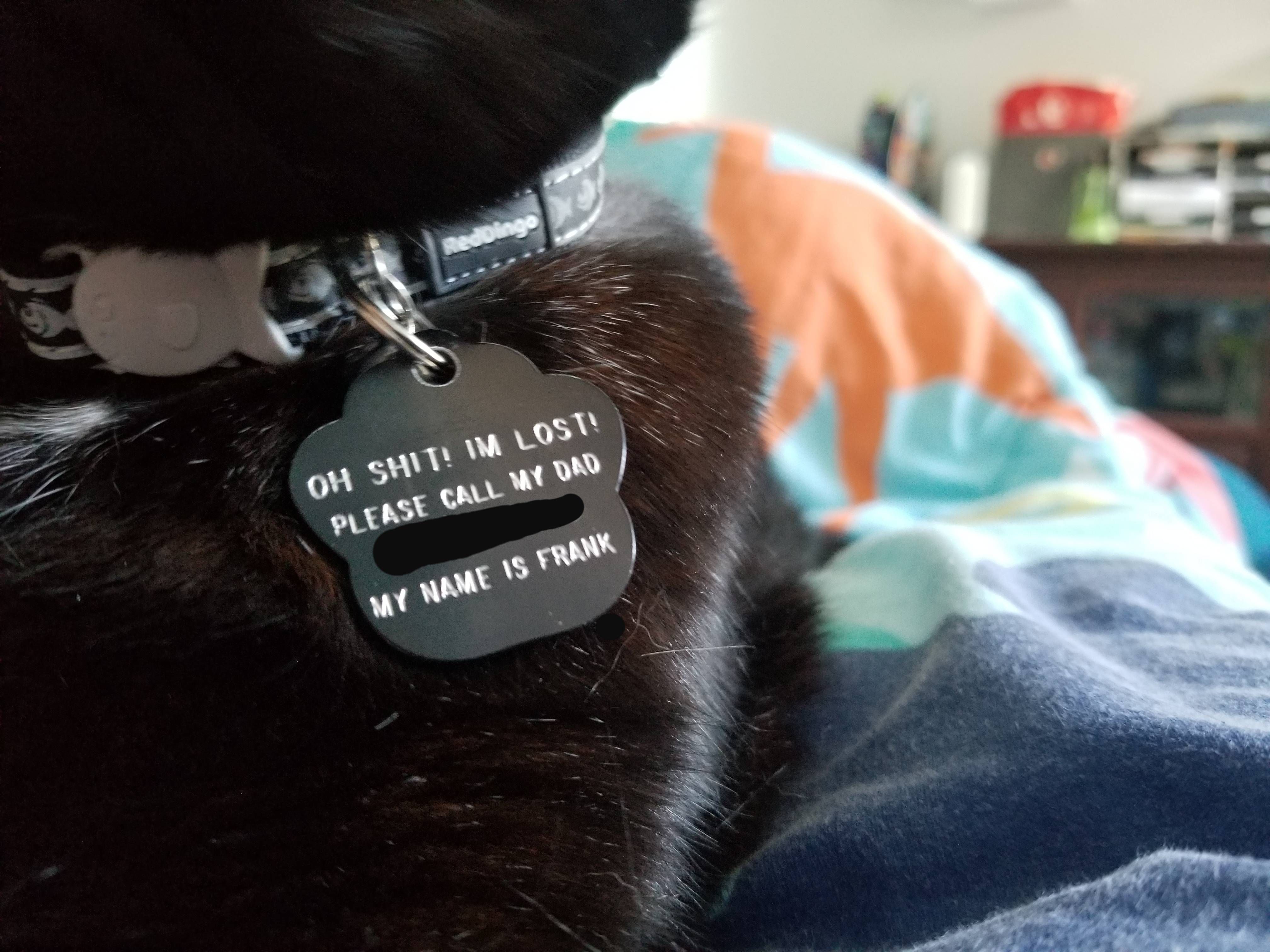 My cats new tag