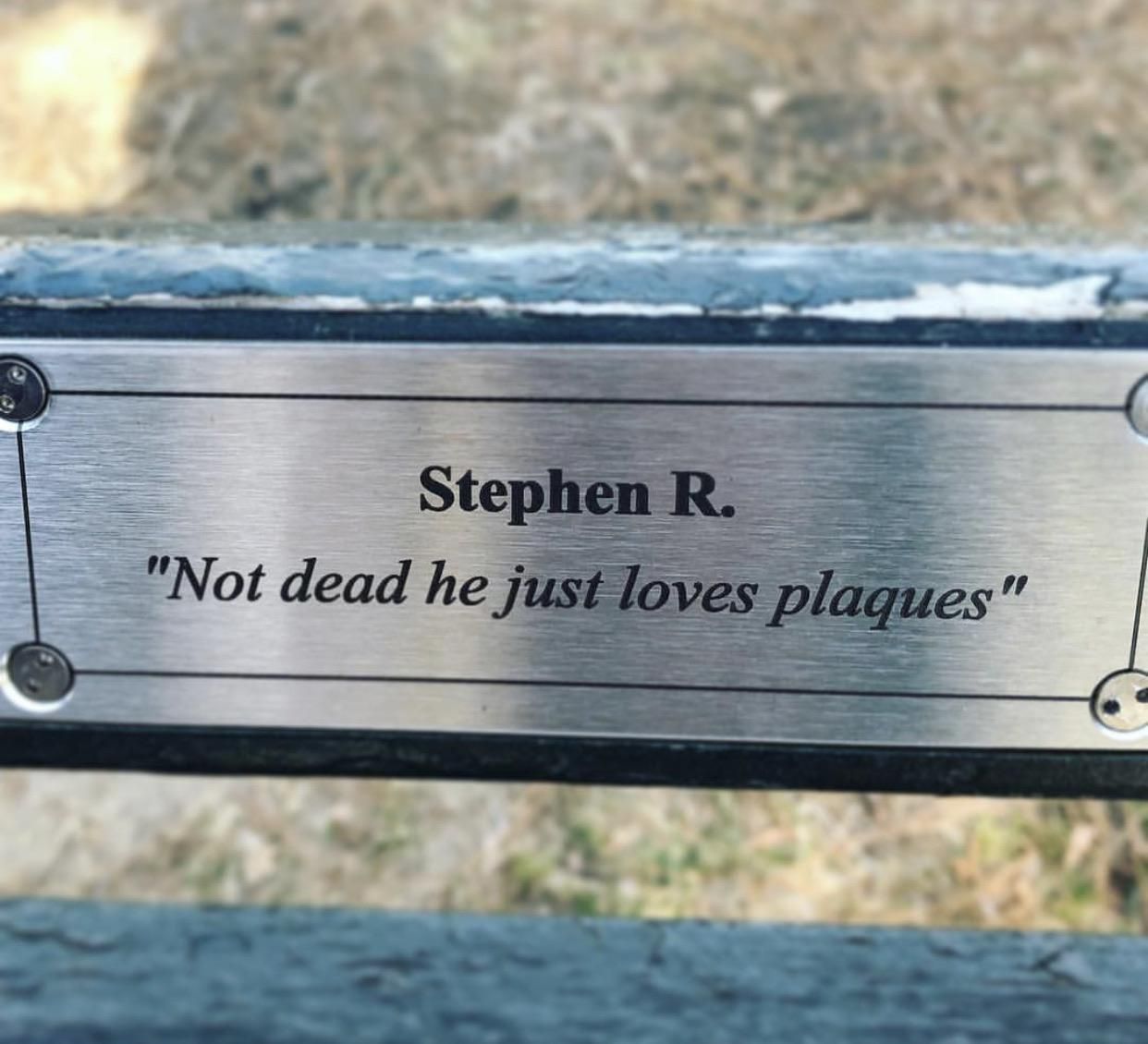 Found in Central Park. Stephen, if you're out there, keep doing you.
