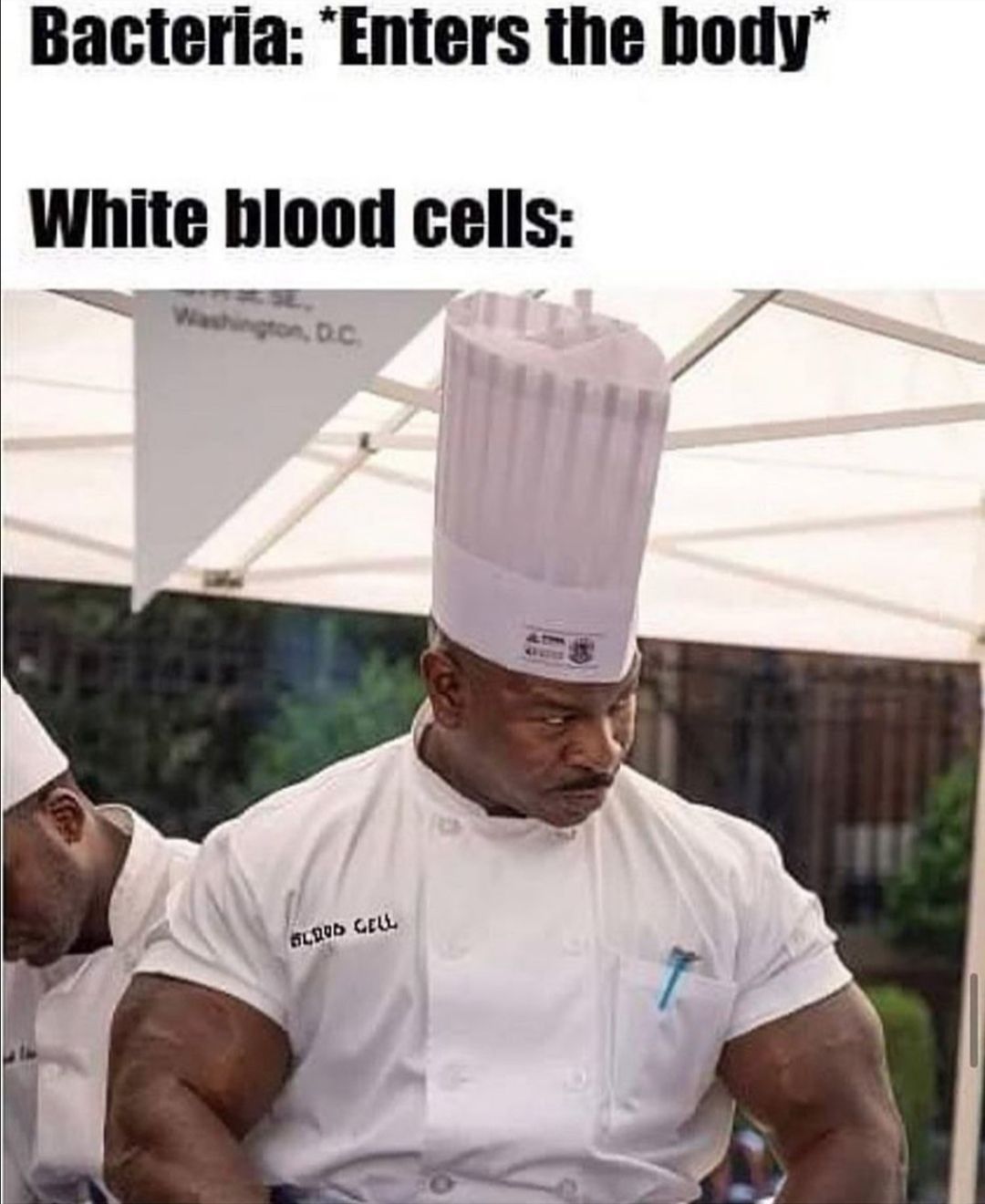 my white blood cells look like Michael Cera