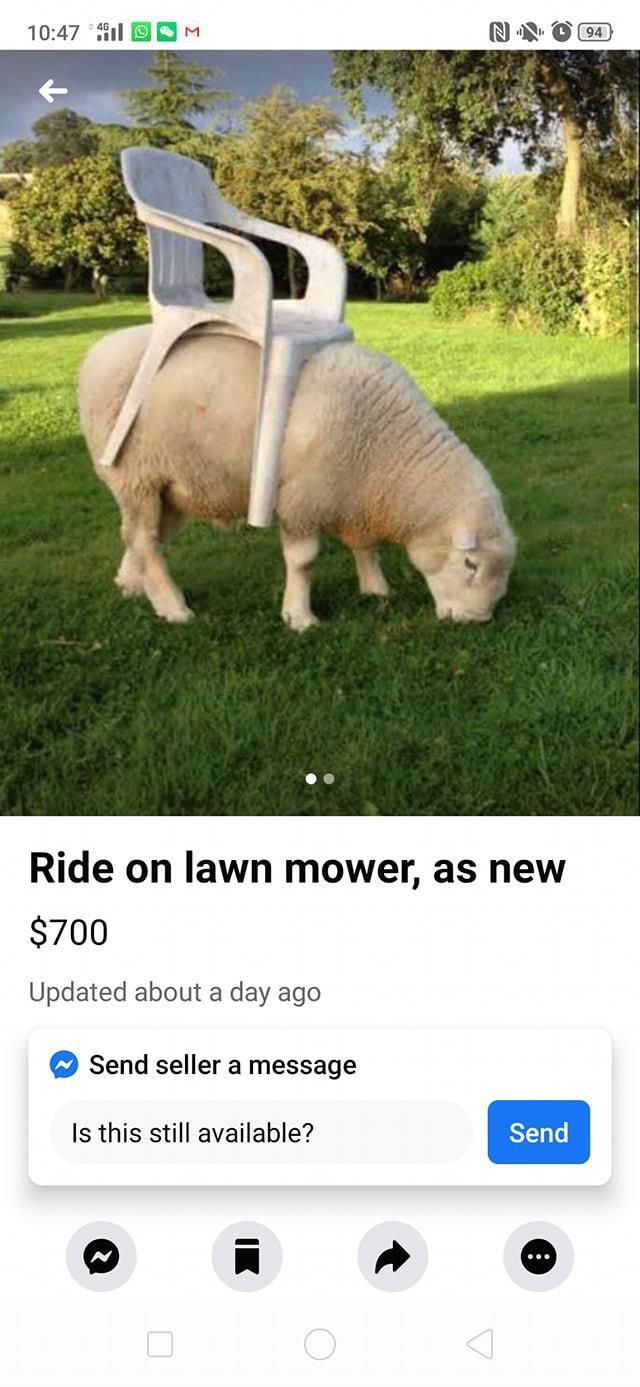 Catch a ride
