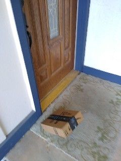 Delivery driver took my "package delivered" picture midway through tossing my package on the ground..