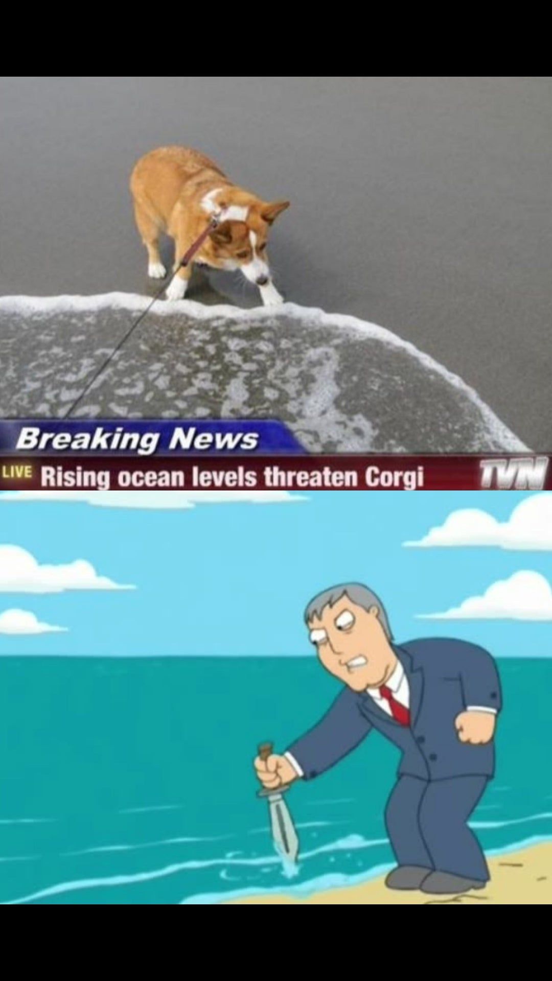 *angry as hek*
