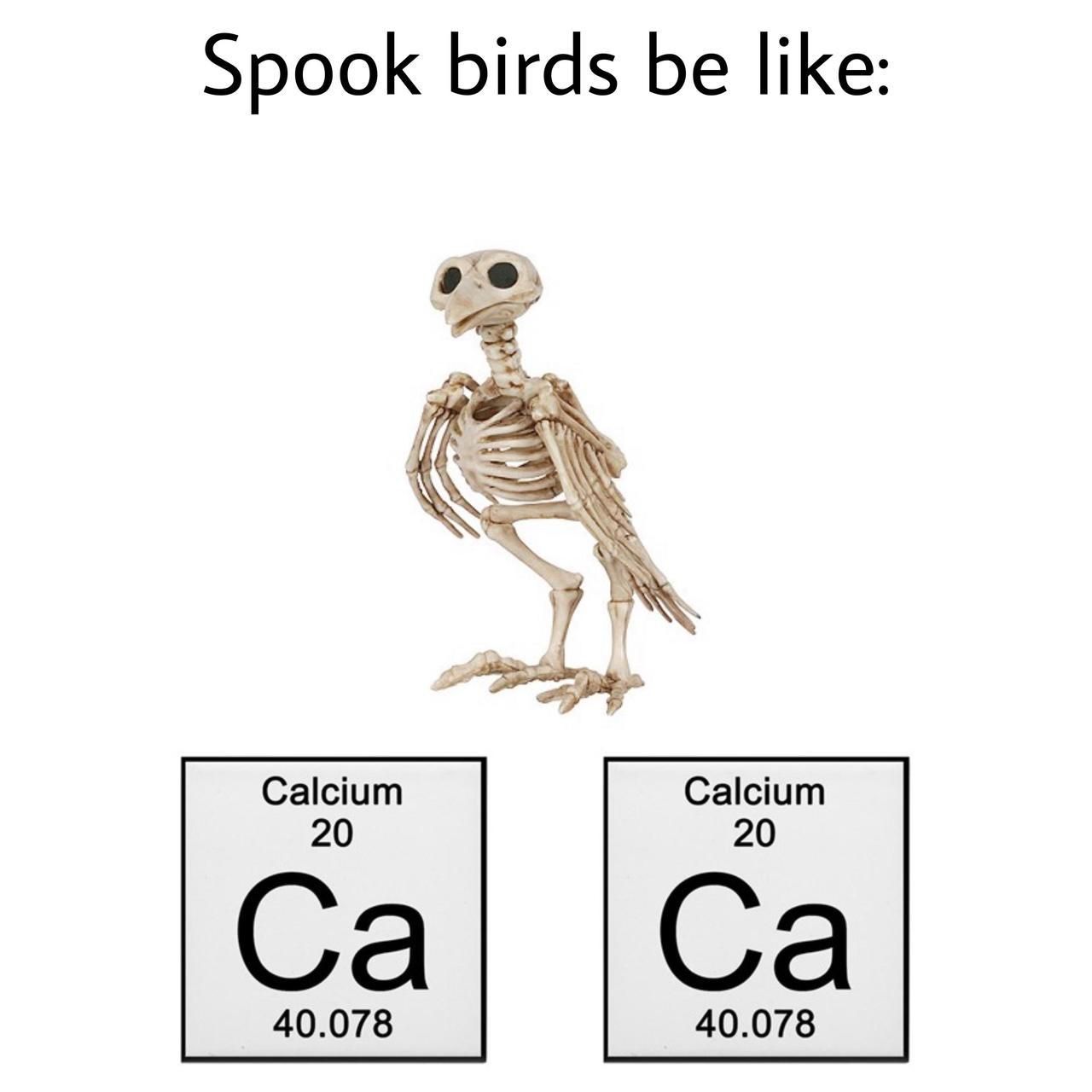 Spooky