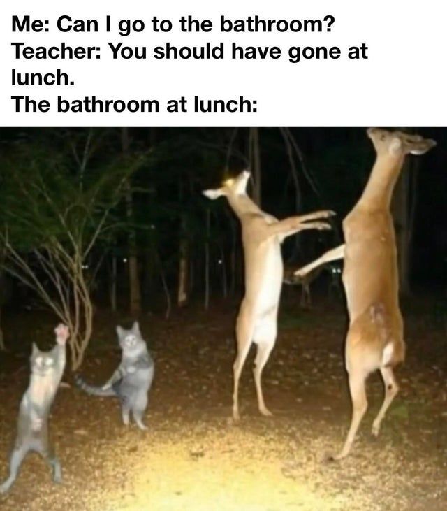 teachers don't fuсking get it