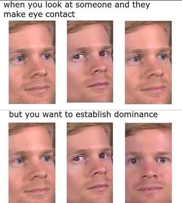 *stares back aggressively*