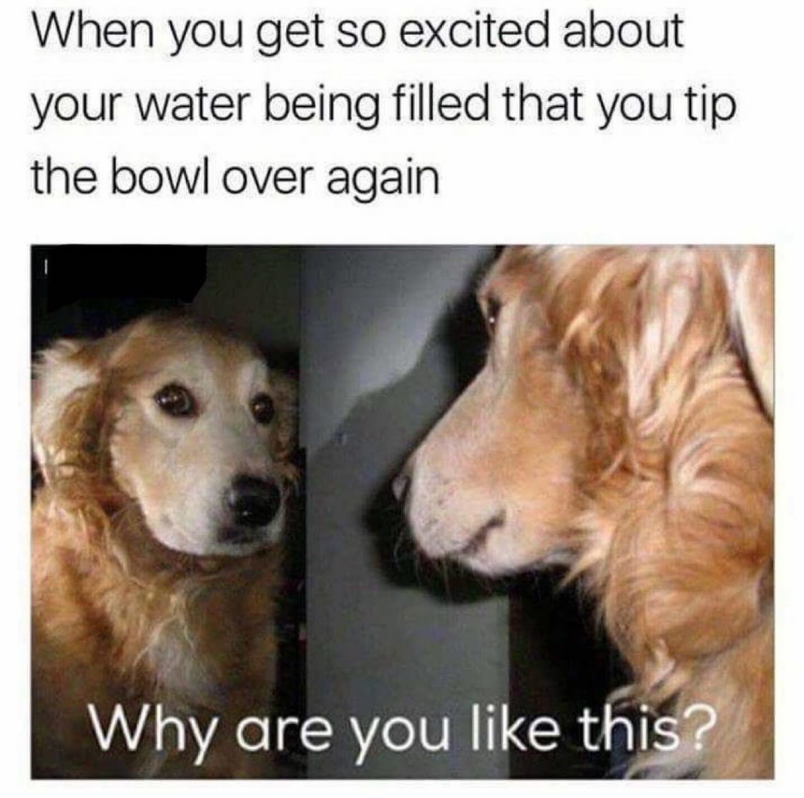 Disappoint