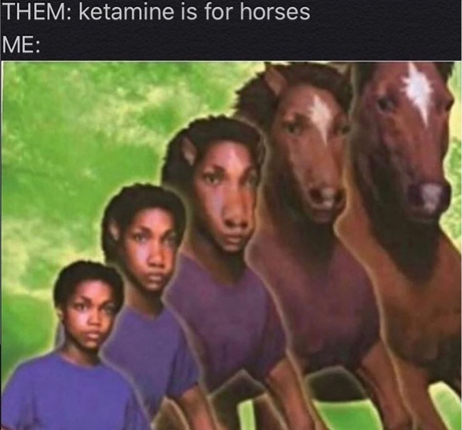 You don't want to become a ***ing horse, or whatever the *** Yoda is