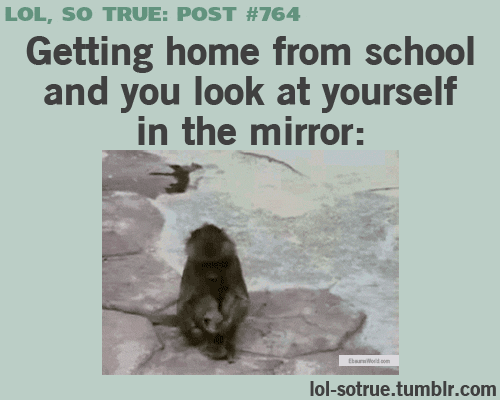 Oh noo!
