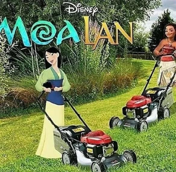 mow lawn