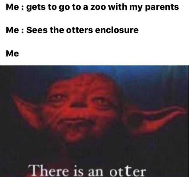 otter