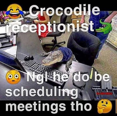 croco-boy