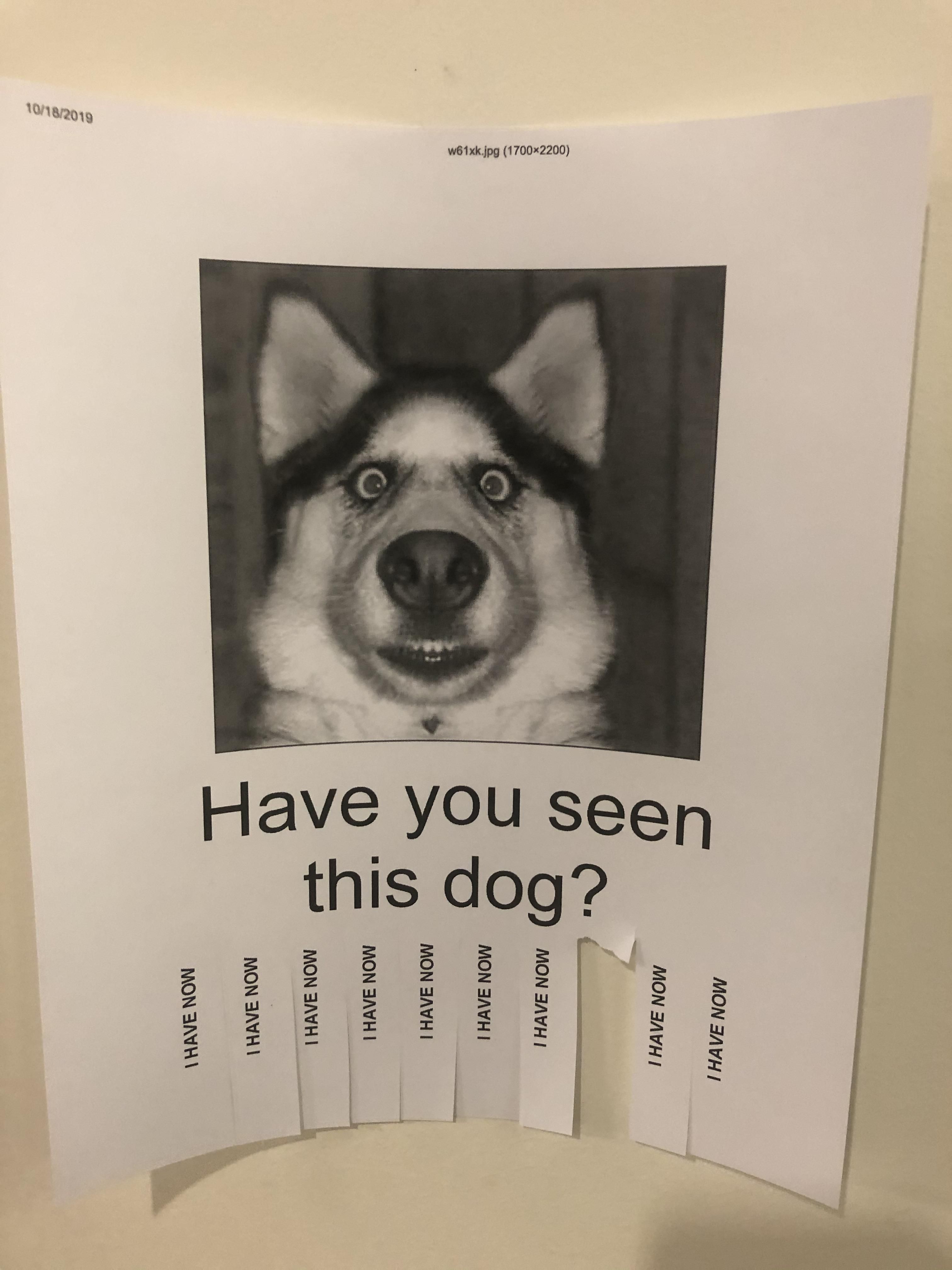 This was hanging on a wall at my office
