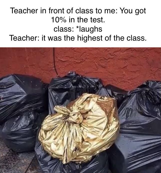 golden trashbag meme