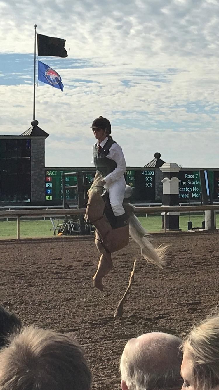 I tried to take a panorama at a horse race, and it created the horse equivalent of a unicycle