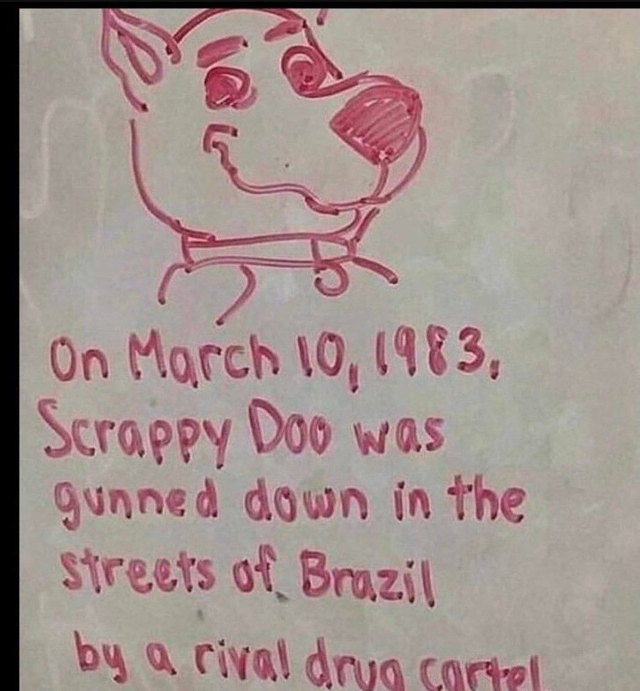 end the gang violence