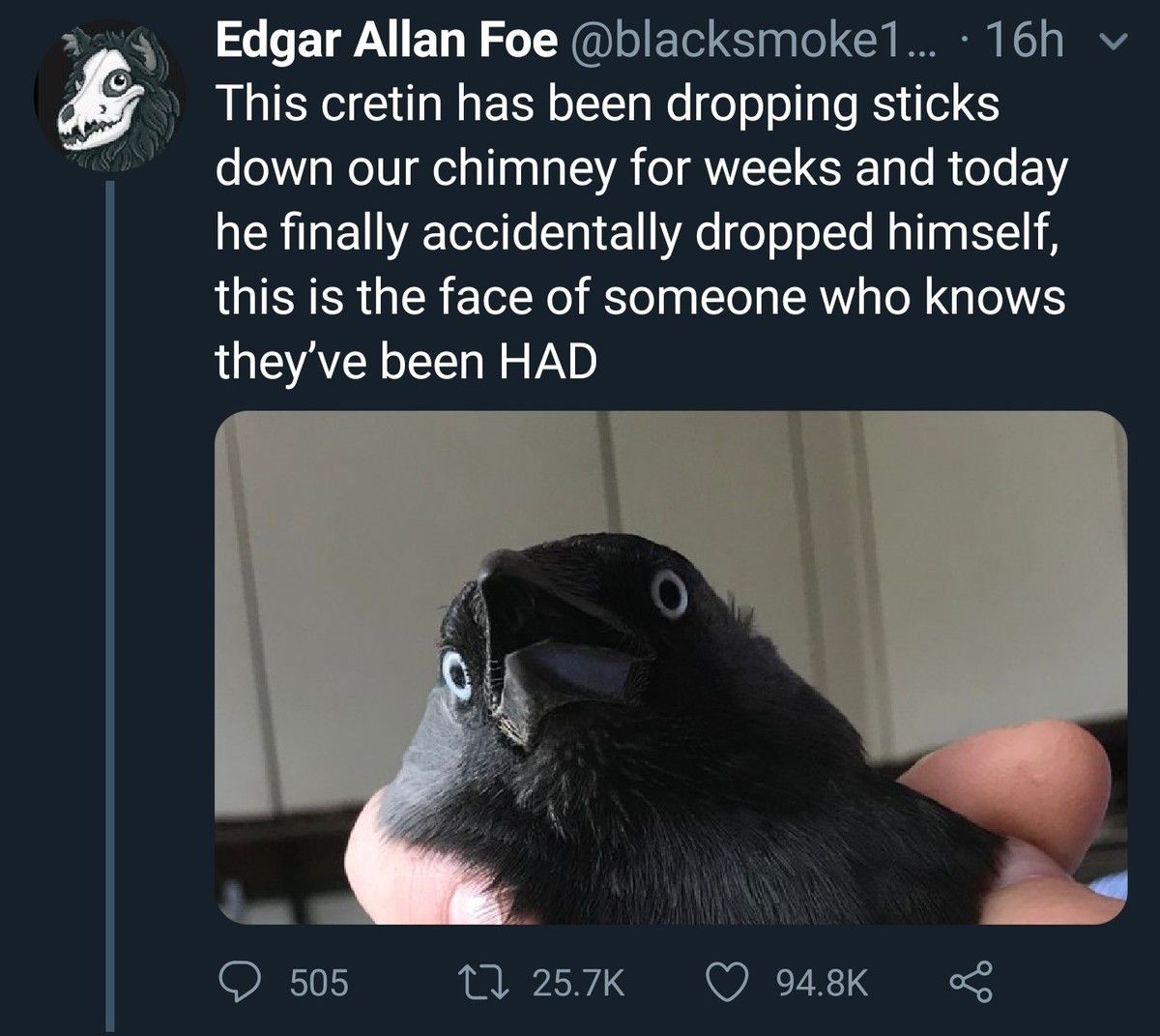 Quoth the raven, "I fuᴄked up"