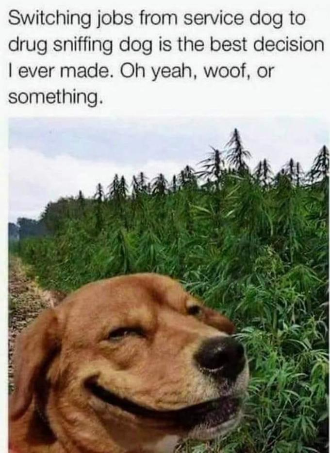 title