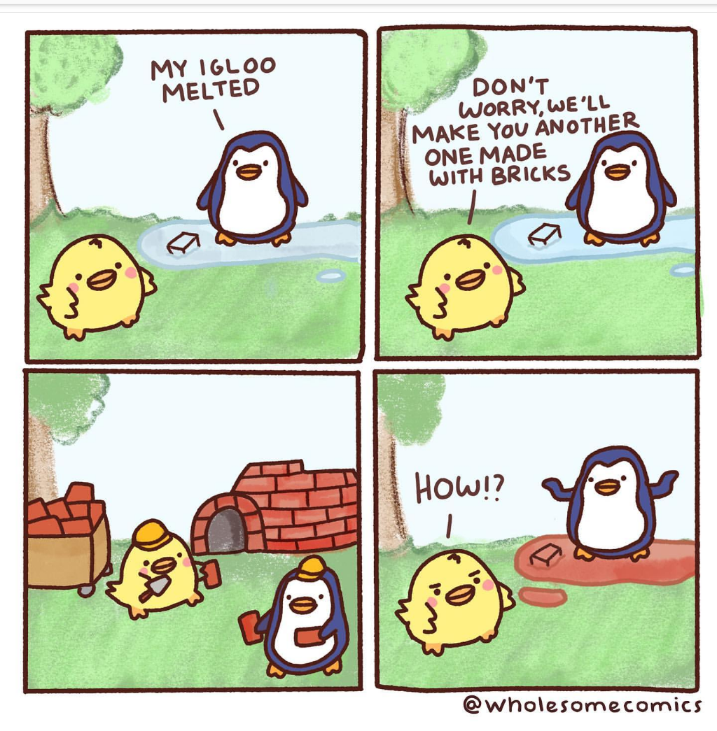 Wholesome birdys