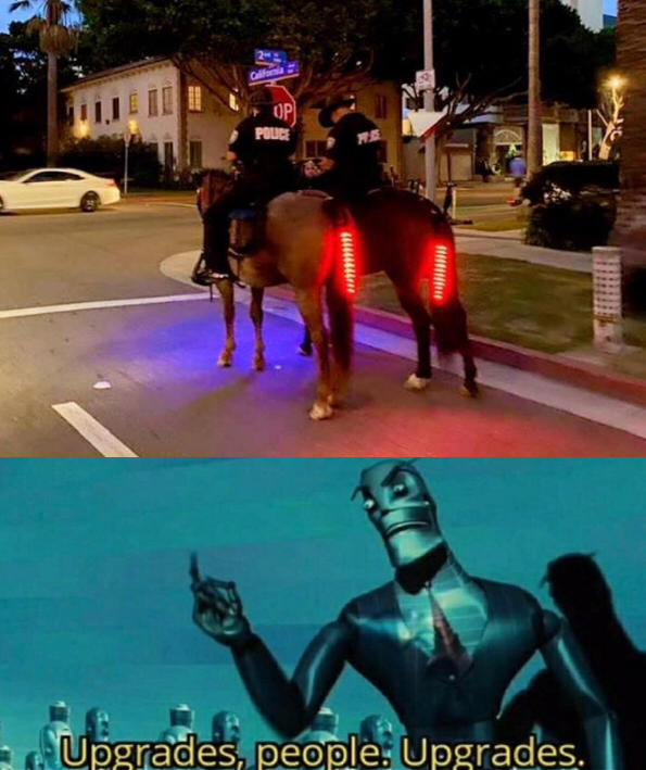 quit horsing around