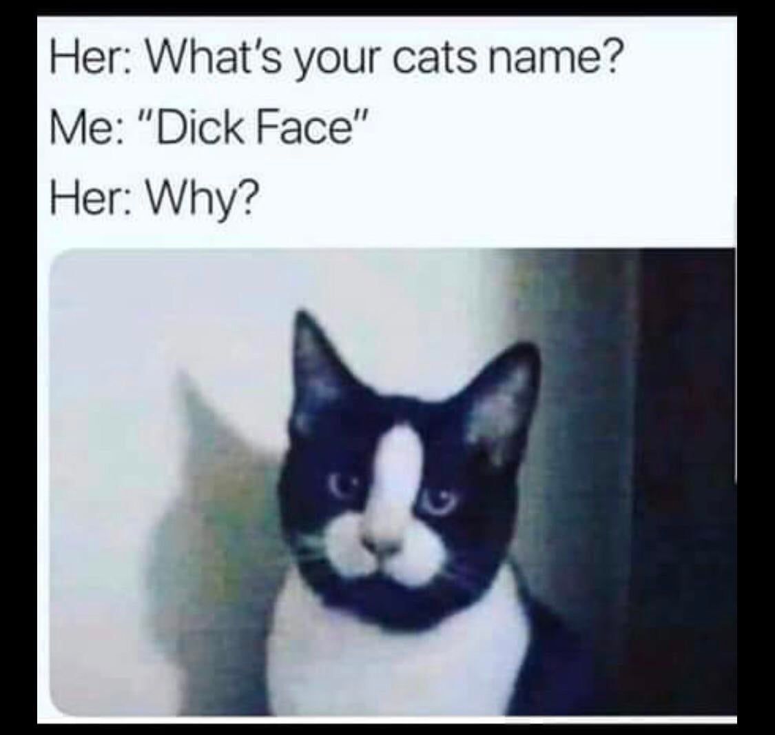 Who's a cute little dick face