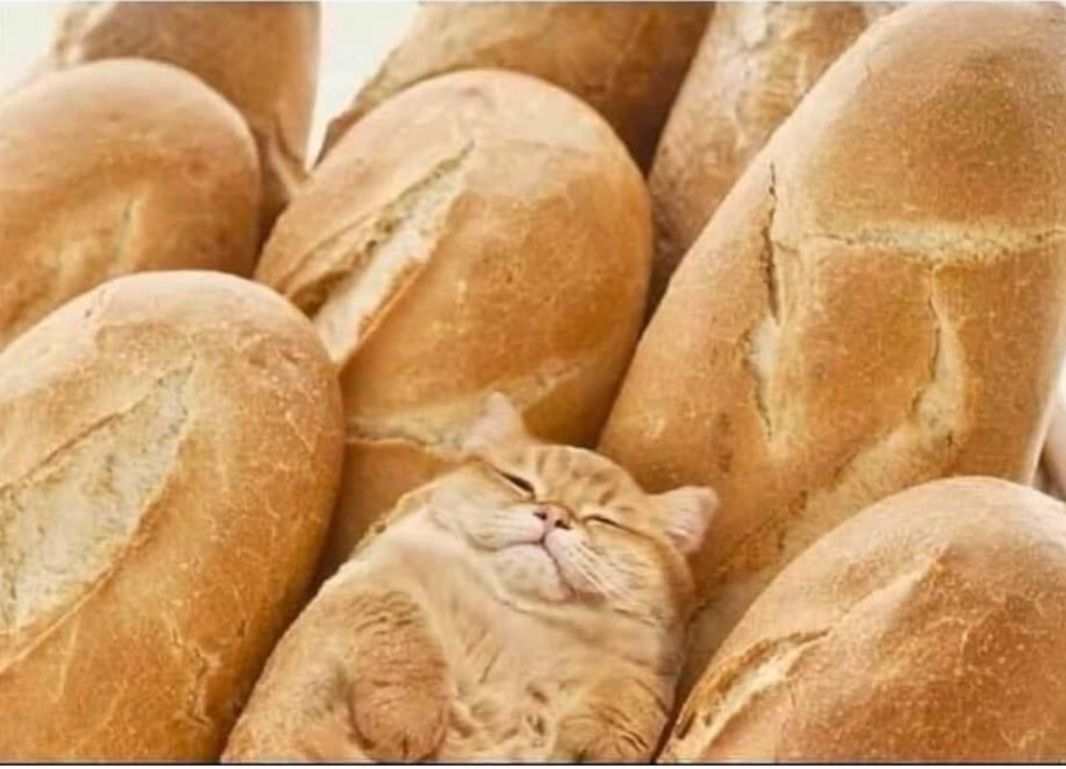 I Have Become Bread