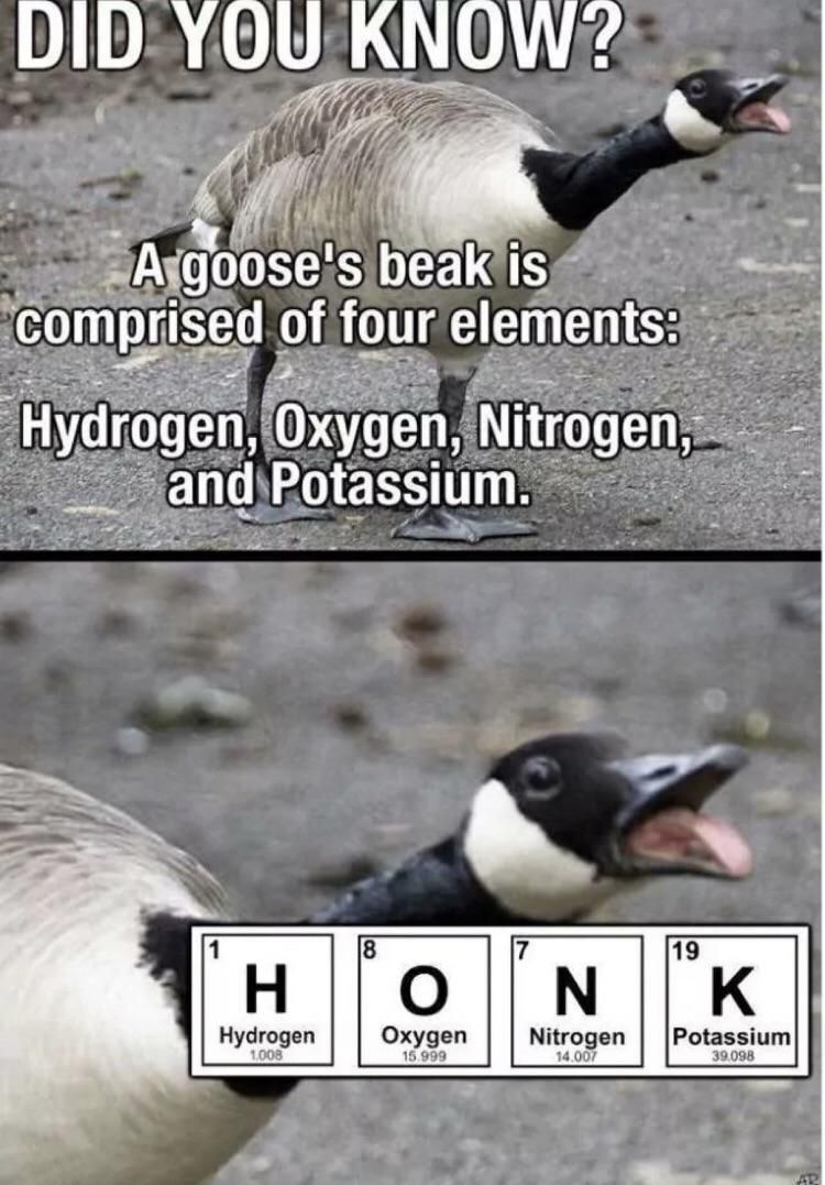 It Do Honk Like That