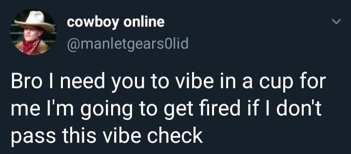 vibed