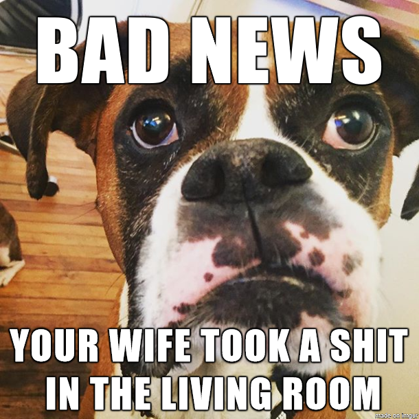 BAD NEWS DOG