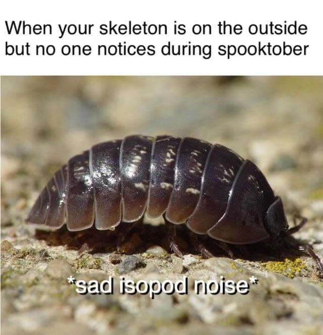 be scare