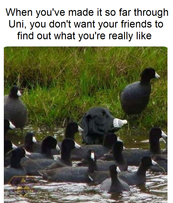 Quack