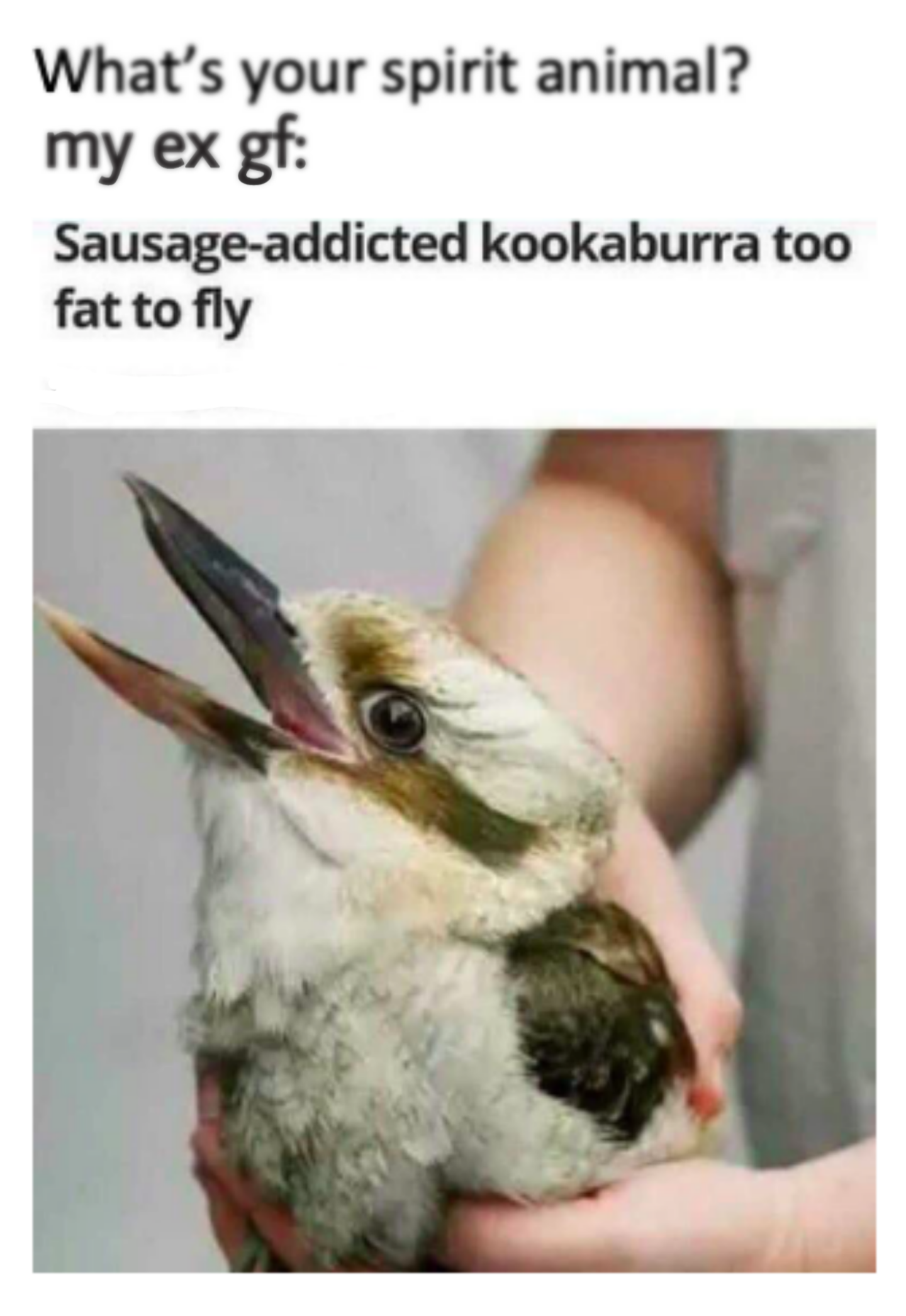 Relatable