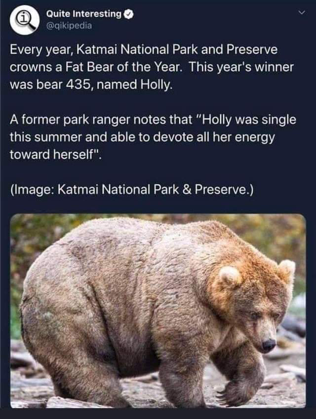 She’s a strong independent bear.