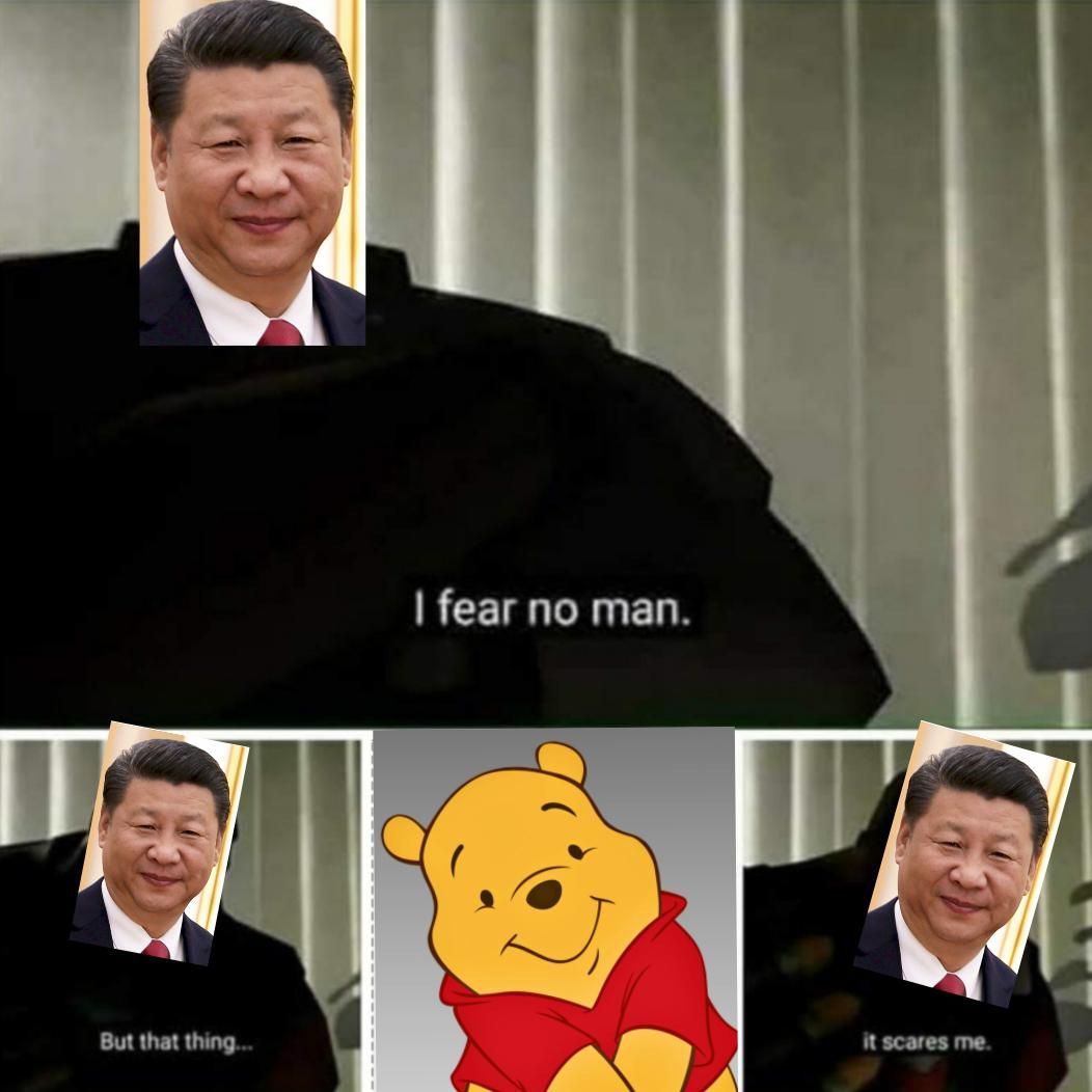 China ban poor pooh