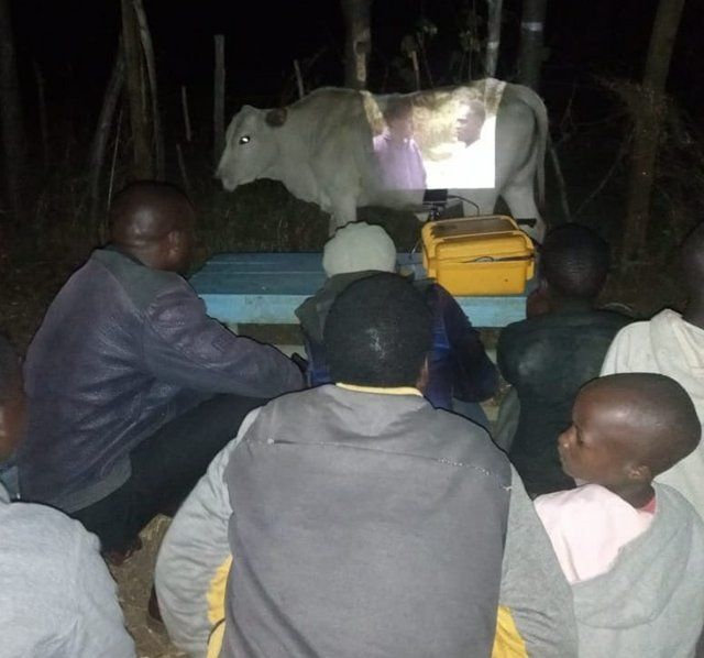 The cow is just happy it doesn't get raped for once
