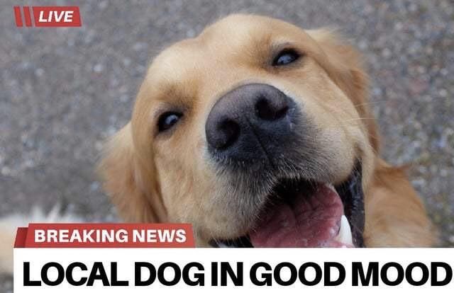 Roses are red, i love food...